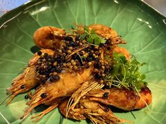 -桂满陇·海市蜃楼·黑金(国金店)