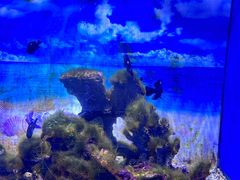 -常州海昌海洋探索馆