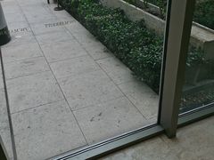 -上海新发展亚太JW万豪酒店