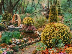 -上海共青森林公园