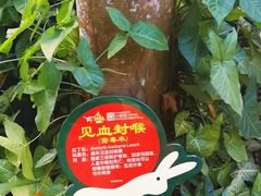 -呀诺达热带雨林
