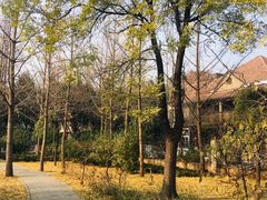 -山东大学(趵突泉校区)