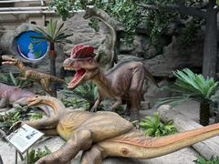 -国家自然博物馆