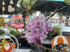 -街角 T·COFFEE 融合料理·BISTRO(车公庙店)