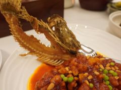 松子桂鱼-和平饭店·龙凤厅 Dragon Phoenix