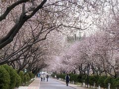 -山东师范大学(千佛山校区)