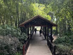 -天赐温泉