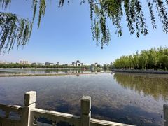 -莲花池公园