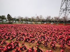-盈香心动乐园