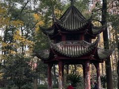 -成都市文殊院