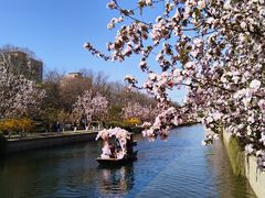 -元大都城垣遗址公园