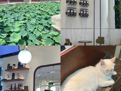 -Animate(工人体育场东路店)