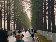 -东湖落雁景区