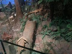 -浙江自然博物院(杭州馆)