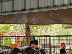 -清迈丛林飞跃 JungleFlight