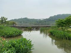 -飞凤山奥体公园