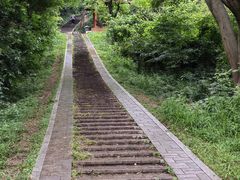 -青龙山国家森林公园