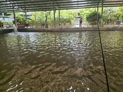 -粮心小农·大头虾亲子生态园(长发店)