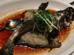 -新兴·金羊座·粤菜点心(乐峰店)