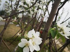 -仙海旅游度假区