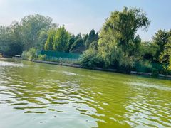 -朝阳公园游乐园