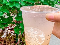 -星巴克臻选(珠海富华里店)