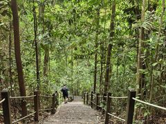 -武吉知马自然保护区