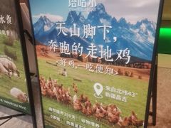 -塔哈尔·新疆盛宴(奉贤龙湖店)