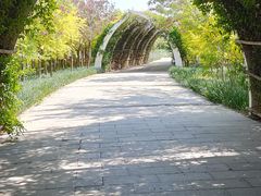 -天津东丽湖风景区