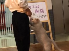 -猫爪屋猫咖(乐汇城店)