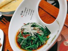 -崔义清鲁菜馆(大明湖店)