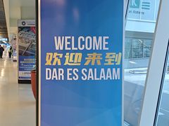 -达累斯萨拉姆国际机场|朱比利特尼日尔国际机场