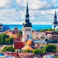 -金豆角砂锅焖面(安贞店)