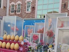 -青岛方特梦幻王国