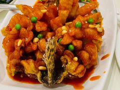 松鼠鳜鱼-金时代顺风大酒店(爱琴海购物中心店)
