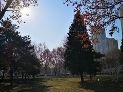 -唐山抗震纪念碑广场