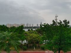 -鹤之洲湿地公园