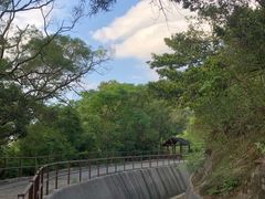 -狮子山郊野公园