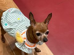 -和它·交个朋友·狗咖猫咖(爱琴海店)