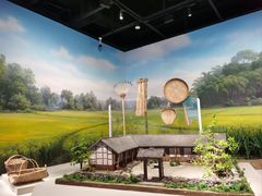 -四川大学博物馆