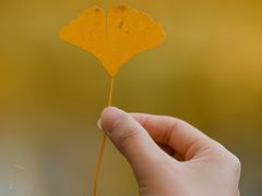 -四川大学(华西校区)