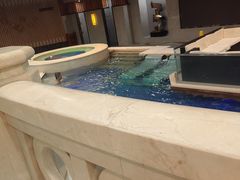 -碧中海汤泉汗蒸酒店