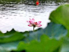 -楼外楼·停车场