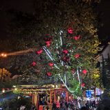 踩着脚下的青石板路，似乎有种身在古代的感觉