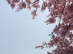 -北京鹫峰国家森林公园