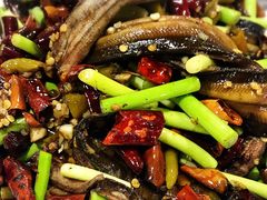 -易老九江湖菜(北滨一路店)