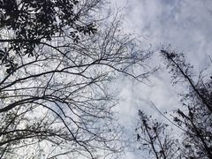 -重庆彩云湖湿地公园