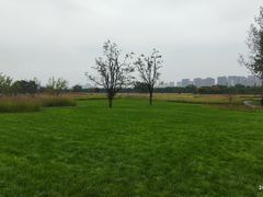 -汉长安城未央宫国家考古遗址公园