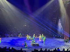 -珠海横琴长隆《卡卡虎奇遇记》