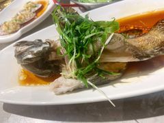 清蒸老虎斑-达叔香味海鲜(海棠68环球美食街店)